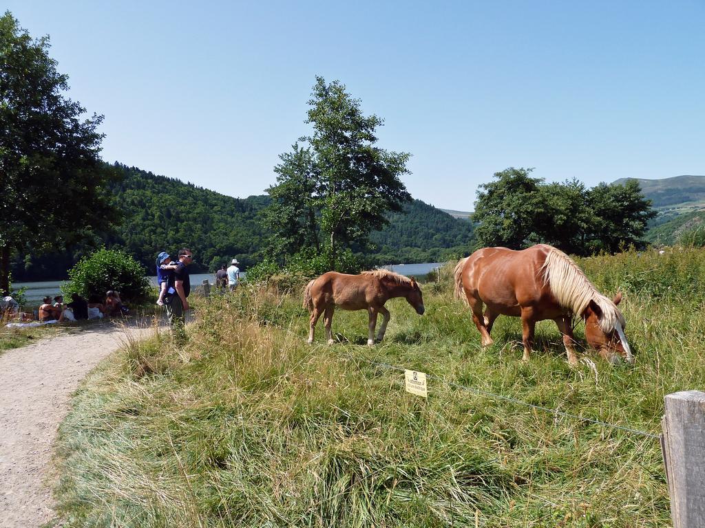 Willa Les Chenets Chambon-sur-Lac Zewnętrze zdjęcie